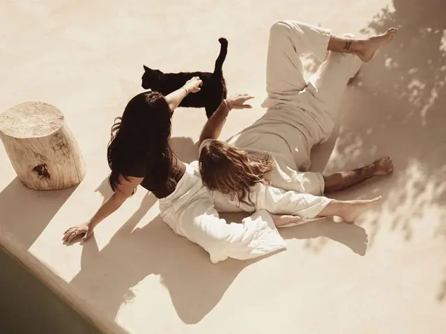 Zwei Menschen liegen eng beieinander am Rand einer sonnigen Terrasse und strecken die Hand nach einer schwarzen Katze aus, von oben fotografiert